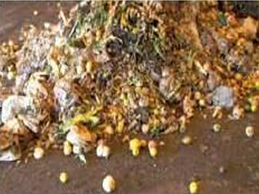 Integrated environmental solutions